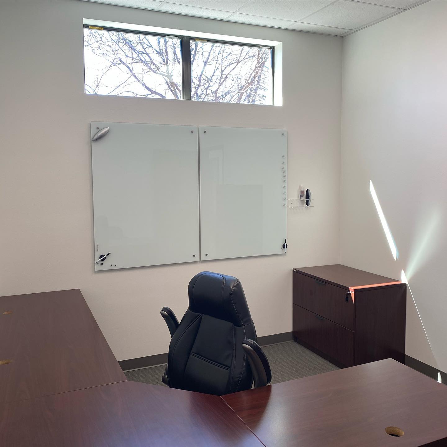 Individual Private Offices